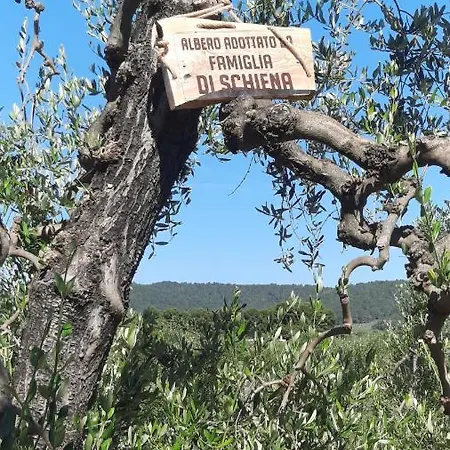 Alba Del Gargano