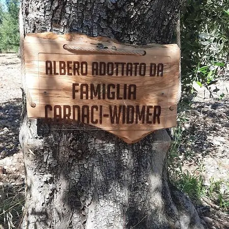 Alba Del Gargano Сasa de vacaciones *